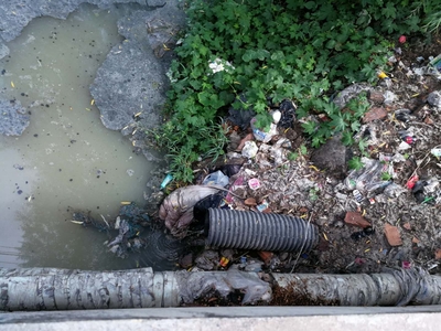 白洋淀區(qū)域生態(tài)治理&ldquo;紅黑榜&rdquo;(六)