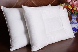 羽翼生輝，暖動蕭山 第十五屆中國羽絨制品及服裝服飾博覽會暨首屆蕭山國際羽絨節啟幕